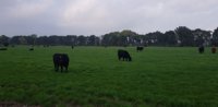 Harry's boerderij Enschede